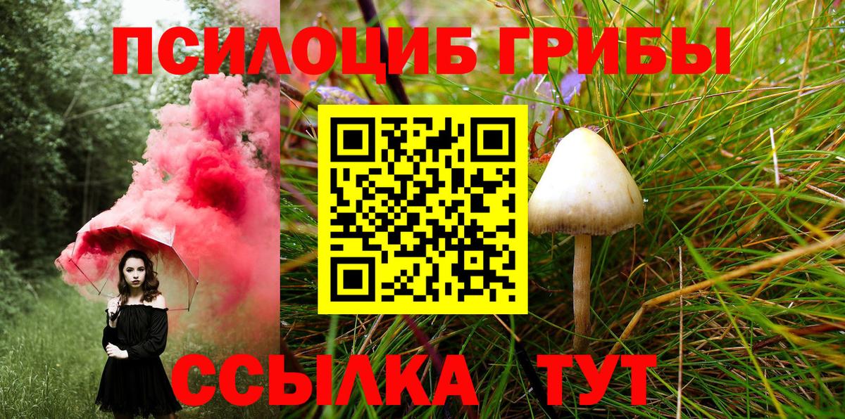 Псилоцибиновые грибы прущие грибы Ярцево