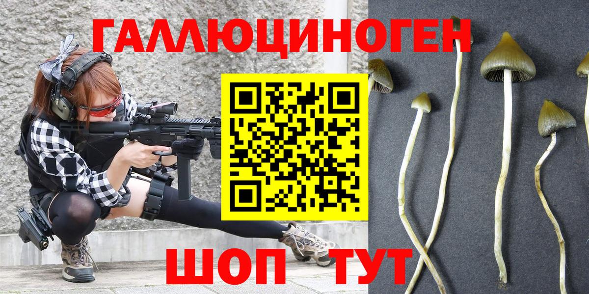 Псилоцибиновые грибы Cubensis  Вход с VPN  Ярцево 